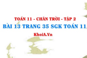 Bài 13 trang 35 Toán 11 Tập 2 Chân trời sáng tạo